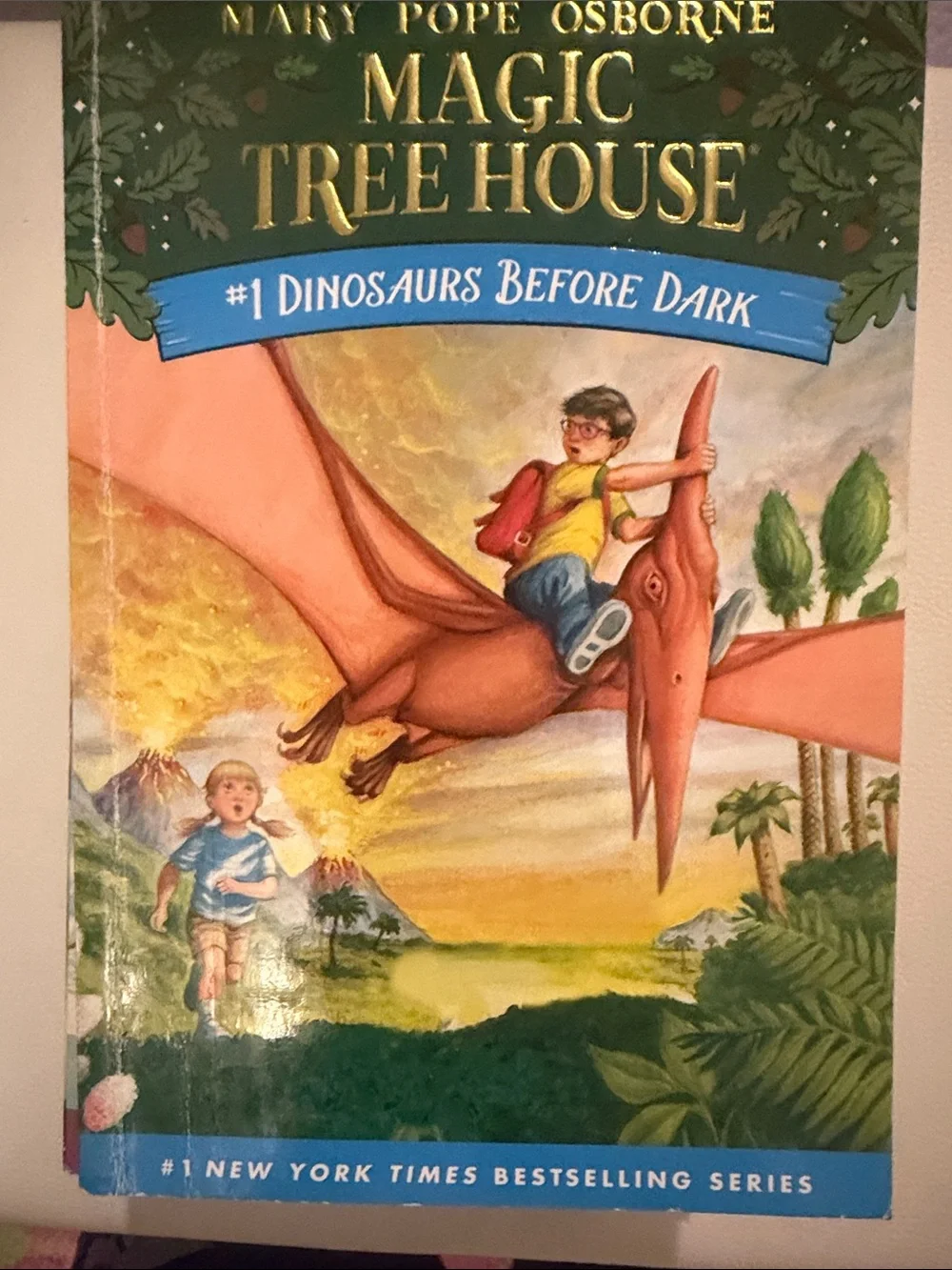 Magic Tree House Book Set - Green & Multicolor Spines